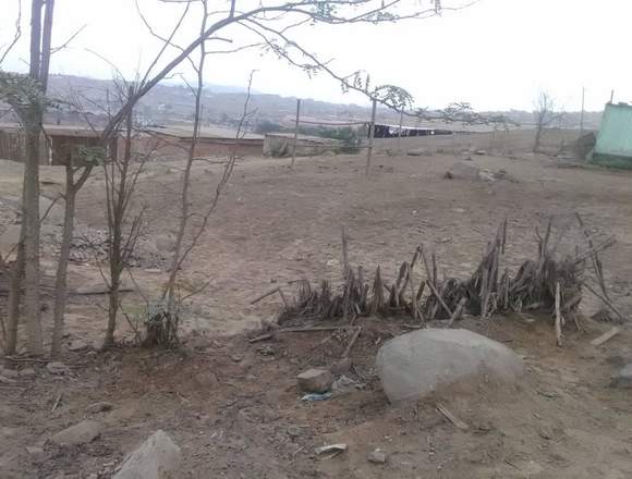 Terreno / Lote El Dorado Zapallal - Puente Piedra