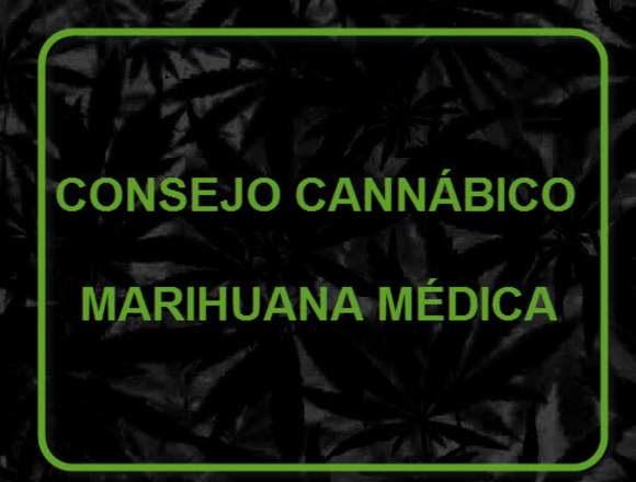 Consulta Médica Cannábica desde tu casa