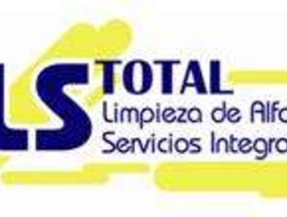 Limpieza de Alfombras 100% en SECO - Lstotal