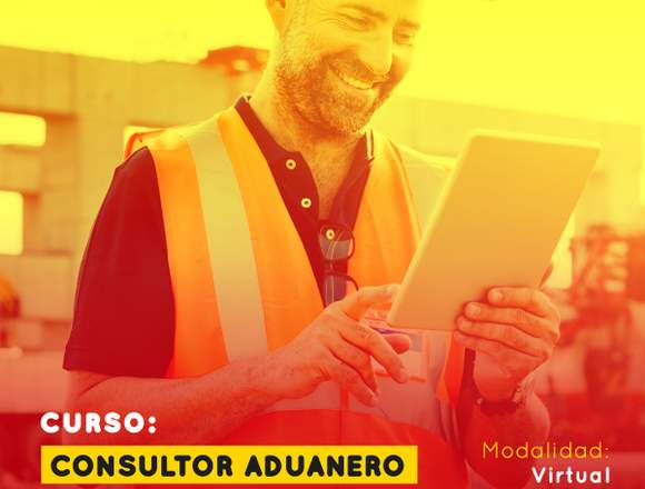 CONSULTOR ADUANERO - VIRTUAL 