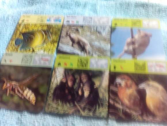 VENDO LOTE DE 40 FICHAS DE ANIMALES POR 20 EUROS