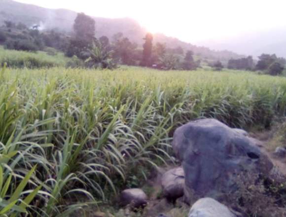 TERRENO PARA CASA HUERTA EN POROTO