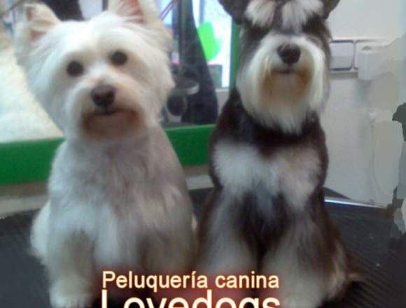 PELUQUERIA CANINA LOVEDOGS