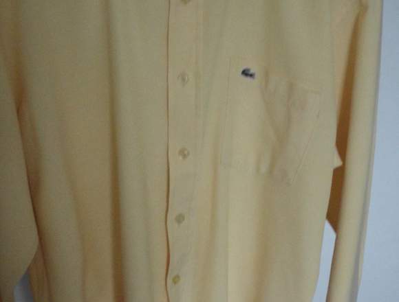 VENDO CAMISA MARCA LACOSTE TALLA M