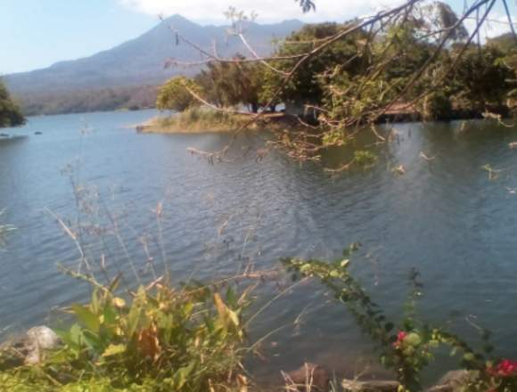 Venta de isleta en el sector de asese, Granda