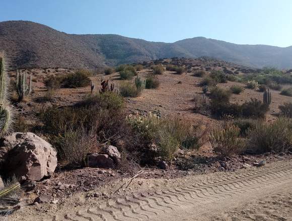 Hermosas parcelas en El Valle de Elqui 