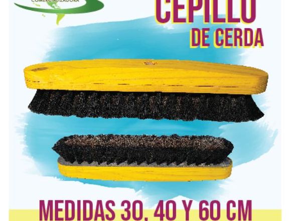 CEPILLOS DE CERDA VARIAS MEDIDAS