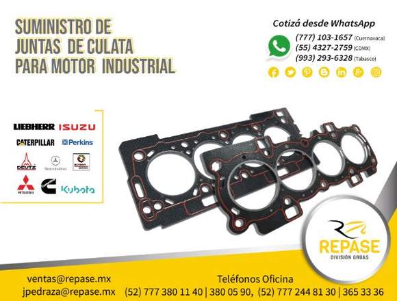 SUMINISTRO DE JUNTAS CULATA PARA MOTOR INDUSTRIAL