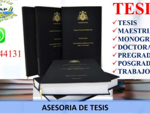 ASESORIA Y DESARROLLO DE TESIS,DOCTORADOS