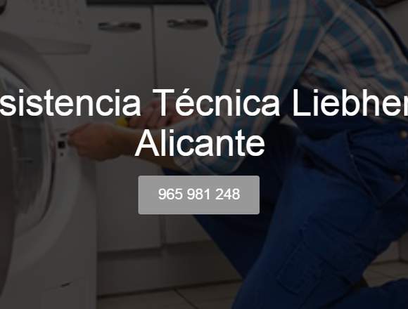 Servicio Técnico Liebherr Alicante 965 217 105