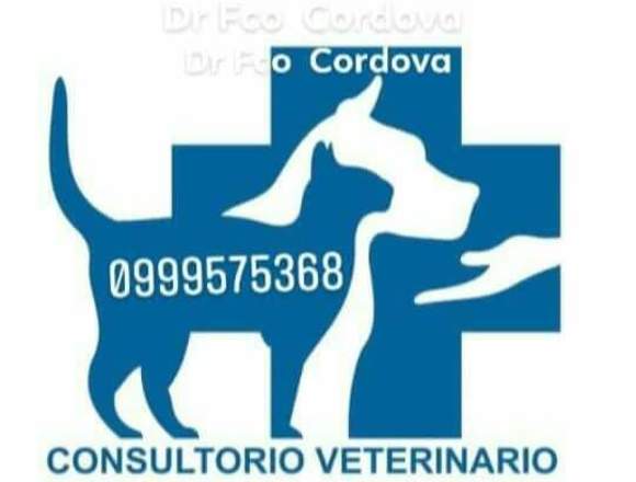 Veterinario emergencia Guayaquil 0999575368