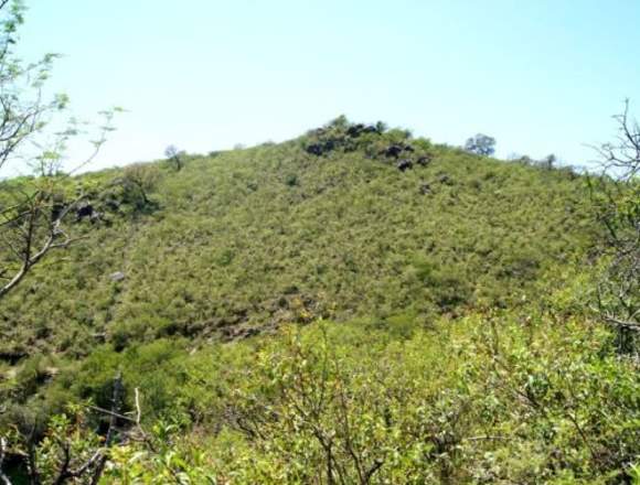 Lotes Alto del lago en Segunda Usina, Calamuchita.