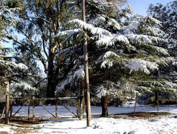 Lotes Vallepiedra en Calmayo, Córdoba