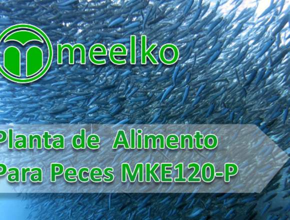 Planta de Alimento Para Peces MKE120-P meelko  