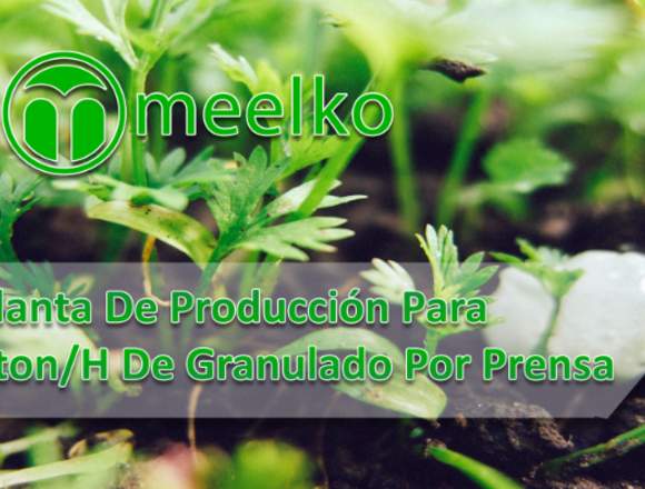 Planta De Producción Para  2ton/H  meelko