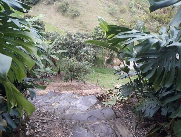 VENDO LINDA FINCA espectacular vista panorámica.