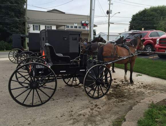 Venta de Elegante Carroza Europea en Ecuador