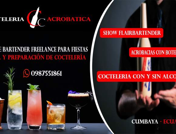 Servicio de Bartender para Fiestas