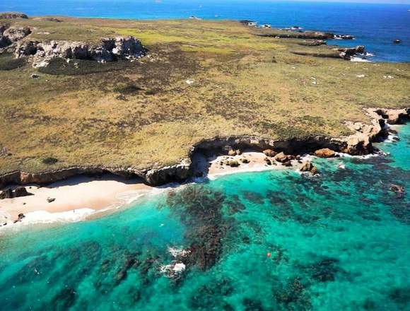 CATAMARAN A ISLAS MARIETAS