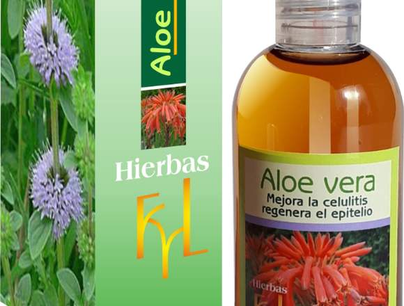 Aloe vera, mejora la celulitis