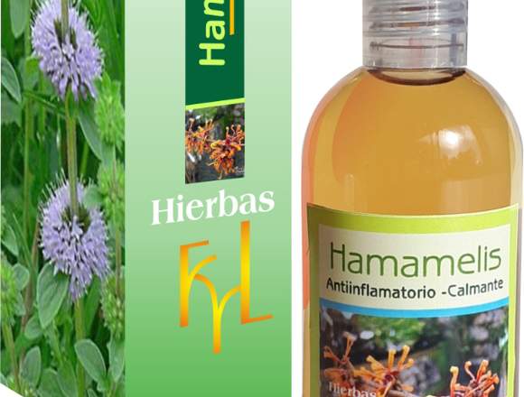 Hamammelis, antiinflamatorio,calmante natural