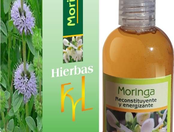 moringa, reconstituyente y energizante