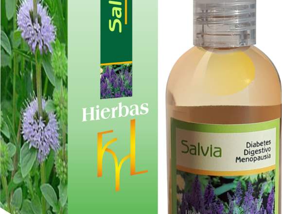 Salvia, diabetes, digestivo, menopausia