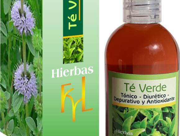 Te verde,tonico, diuretico y antioxiante