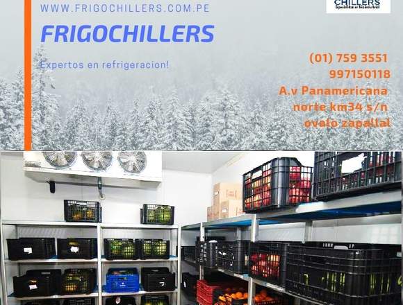 expertos en refrigeracion industrial 