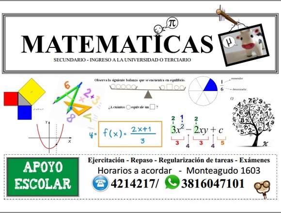 Profesor de MATEMÁTICA brinda apoyo escolar