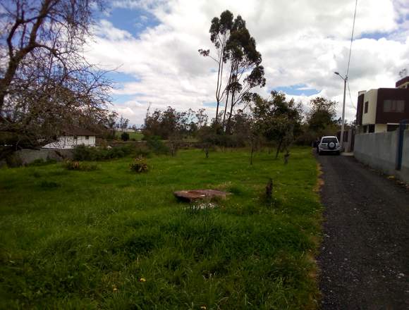 Vendo hermosos terreno en Pillaro