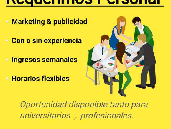 Marketing & publicidad 