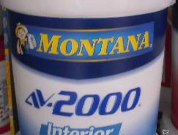 Pintura Av 2000 Montana para Interiores Clase A 