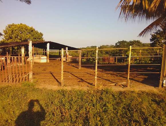 Venta Terreno en el Corozo