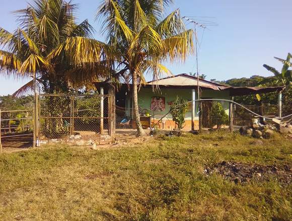 En Venta Finca La Alegria