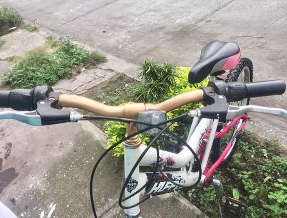 BICICLETA MONTAÑERA EN BUEN ESTADO 