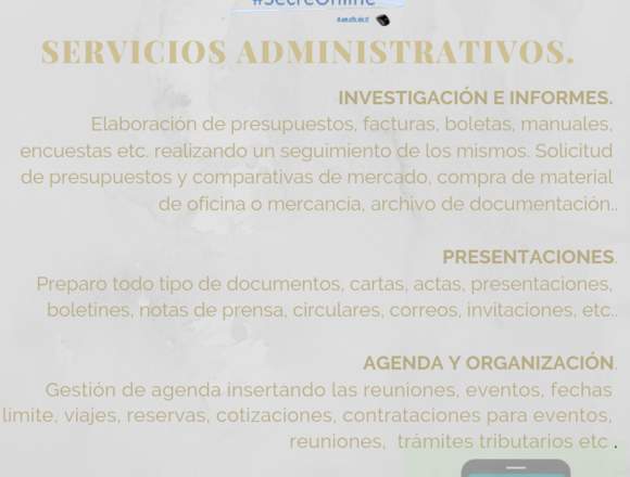 Secretaria o Asistente Online