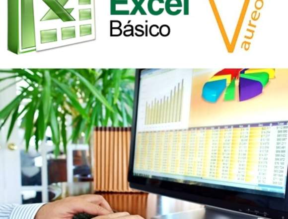 Curso ExceL Nivel Básico (E-learning)