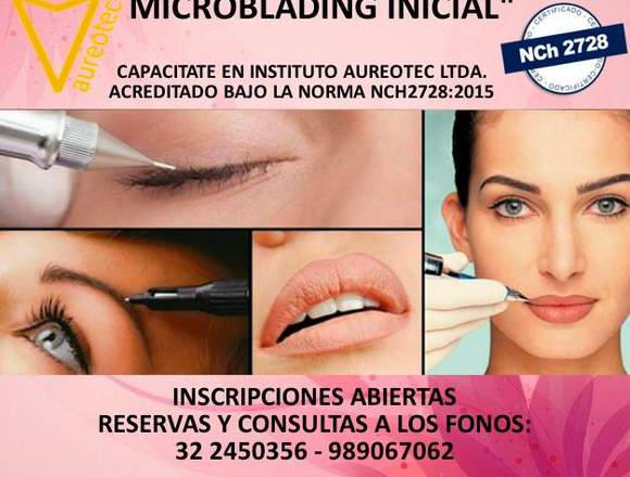 Técnicas Aplicadas de Microblading 