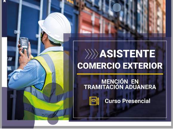 Asistente Comercio Exterior 