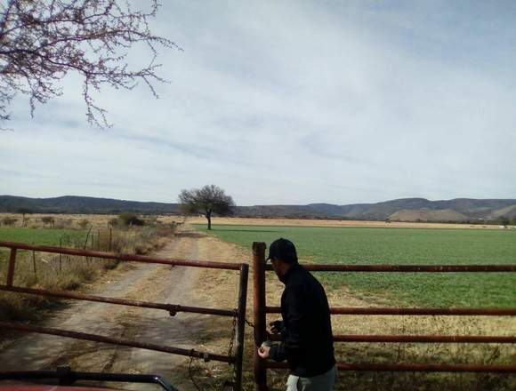 Rancho 90 hectáreas en Santa María del Río SLP