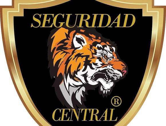 SERVICIOS DE SEGURIDAD Y VALLAS  PAPALES 