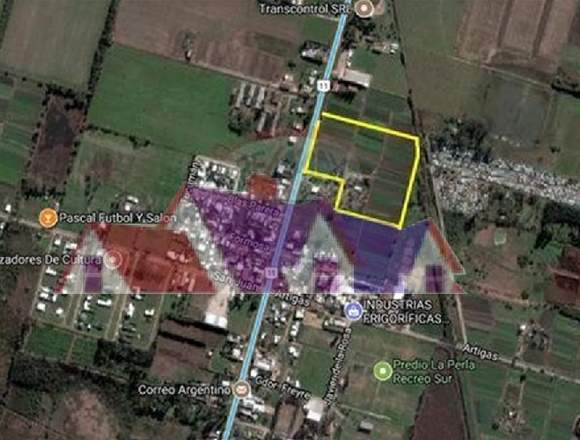 Campo en venta sobre ruta en Recreo Sur Santa Fe