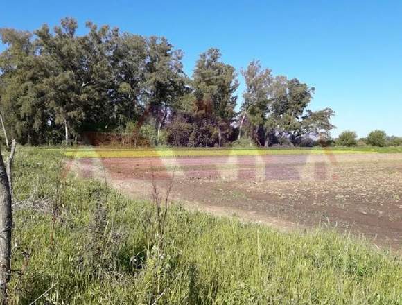 Campo en venta en Recreo Sur Santa Fe, 3.8has