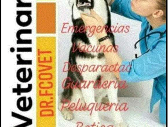 veterinaria 24 horas en Guayaquil Pet  0999575368