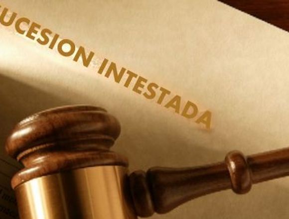 PROCESO DE SUCESIÓN INTESTADA