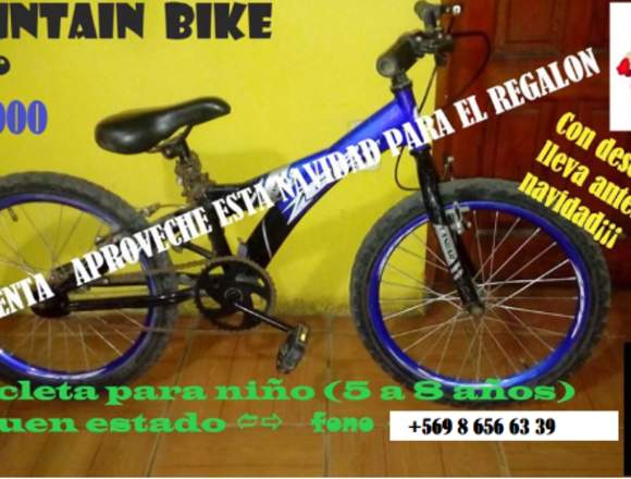 Mountain Bike aro 20