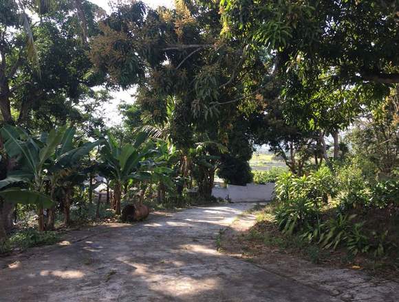 casa tipo finca ubicada el miranda, carabobo 