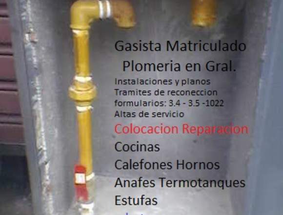 GASISTA MATRICULADO PLOMERIA EN GRAL. 