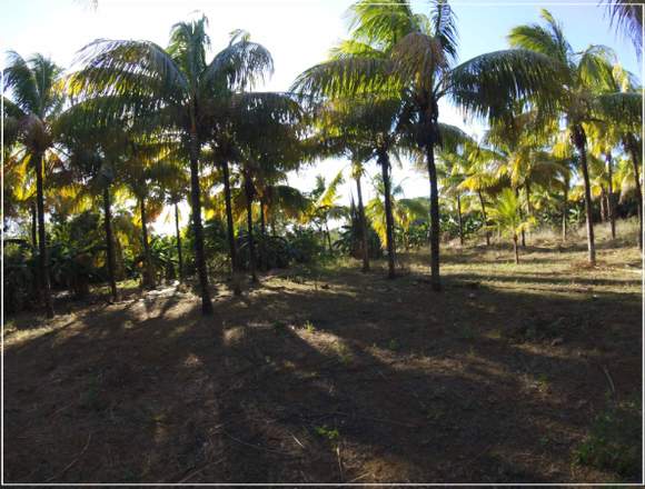 Venta de Terreno carretera a #Managua- Nicaragua.